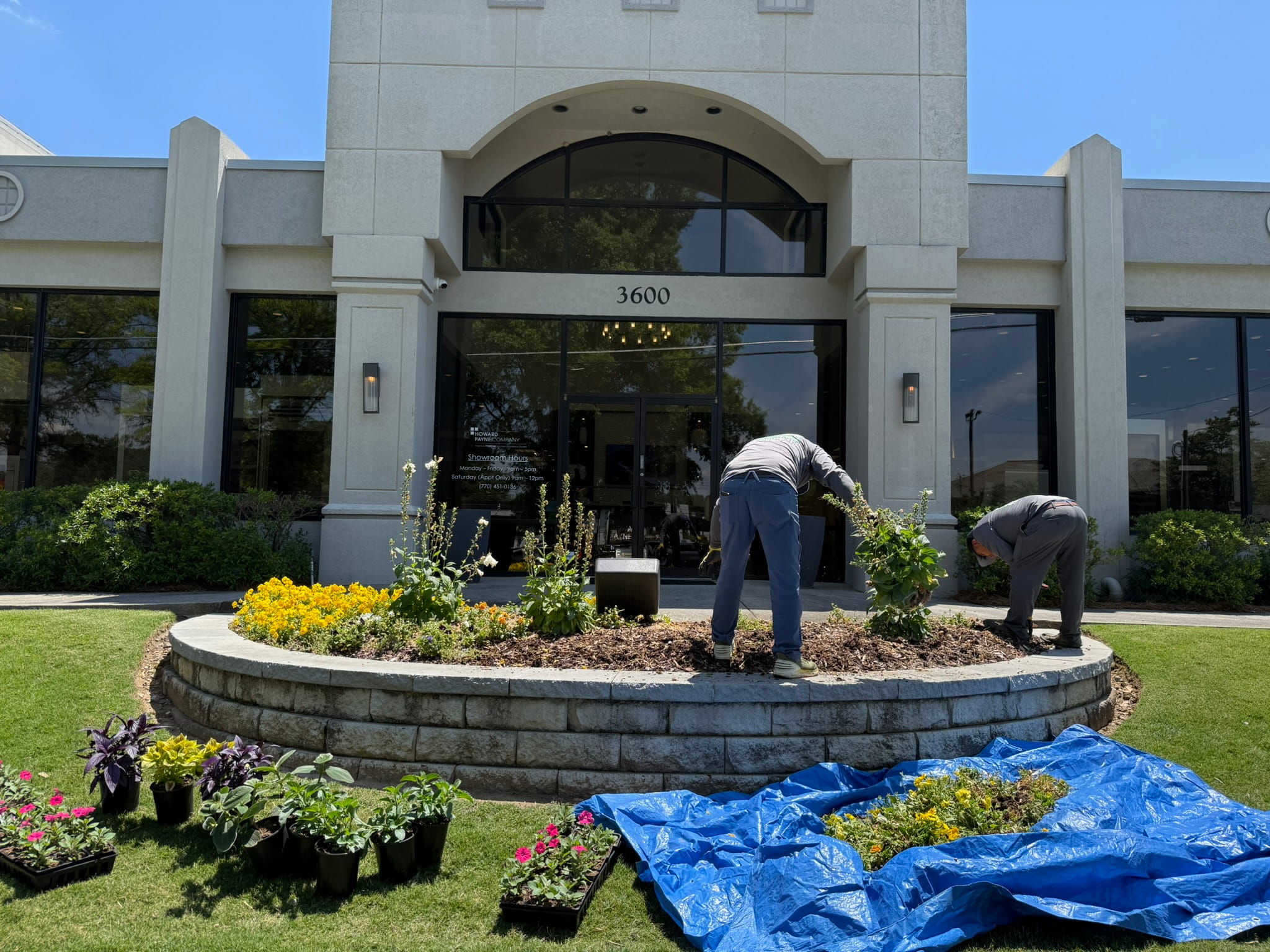 Commercial plant installation North Atlanta