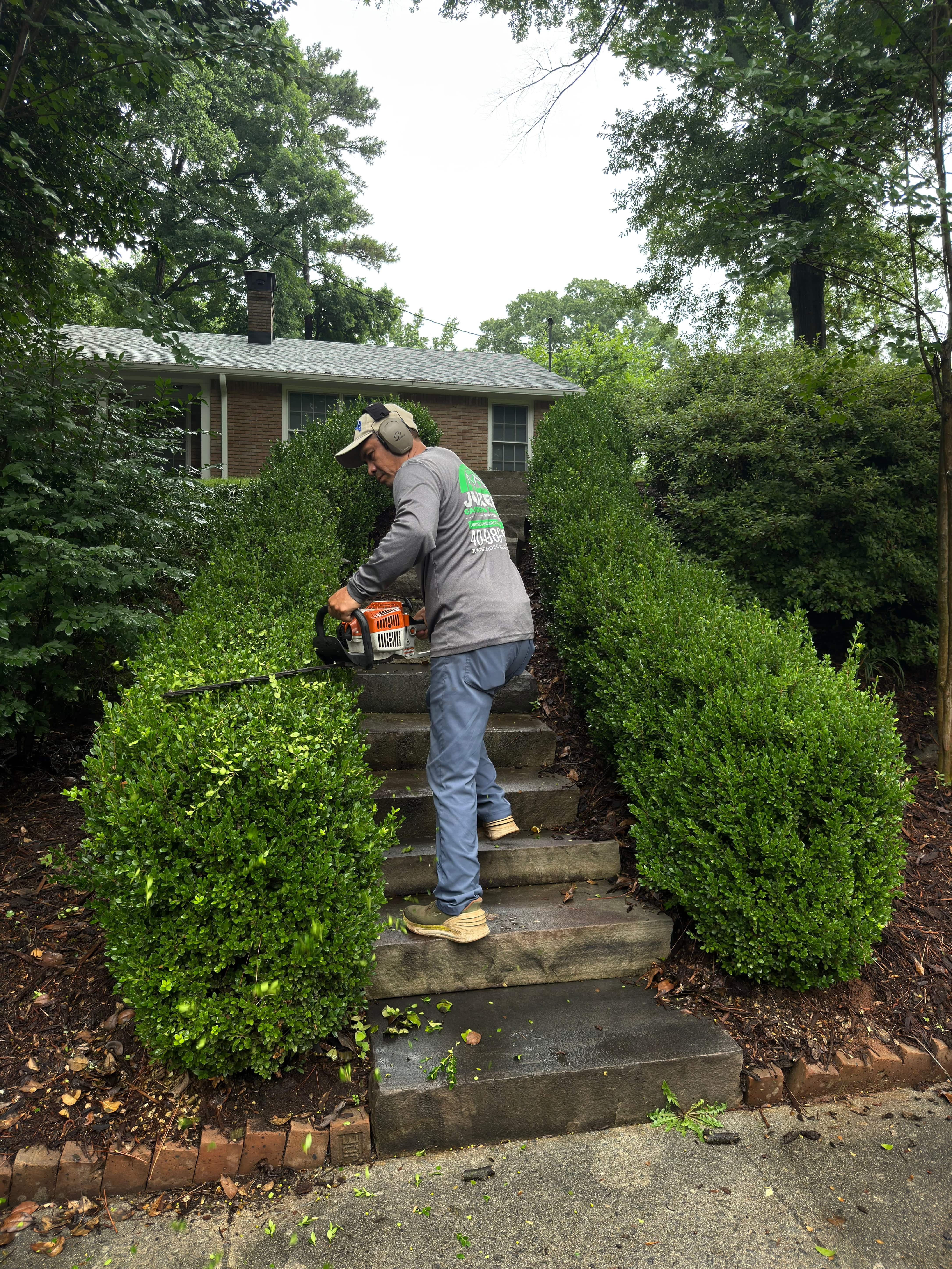 Hedge trimming North Atlanta