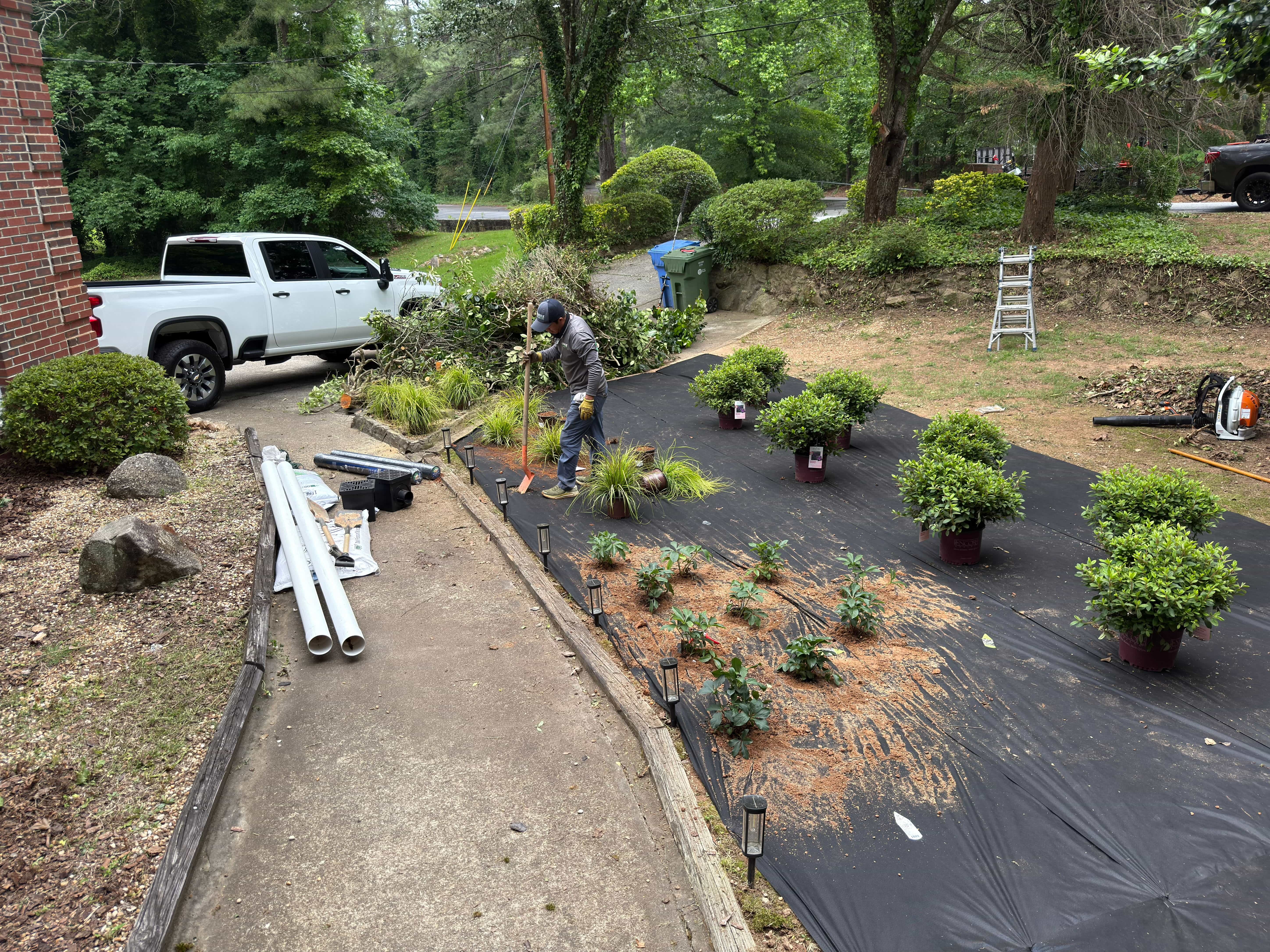 Plant installation North Atlanta