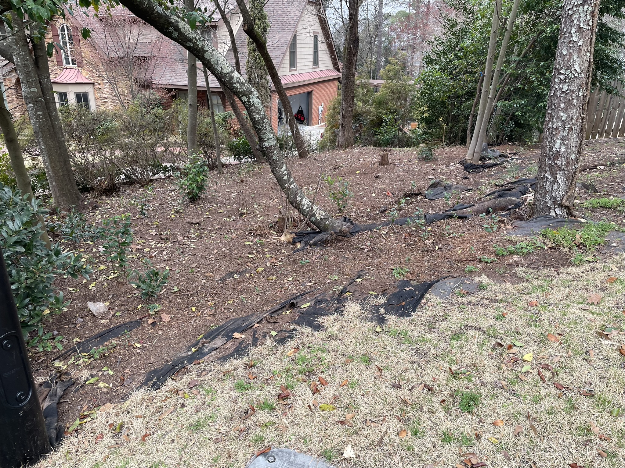 Before mulch installation